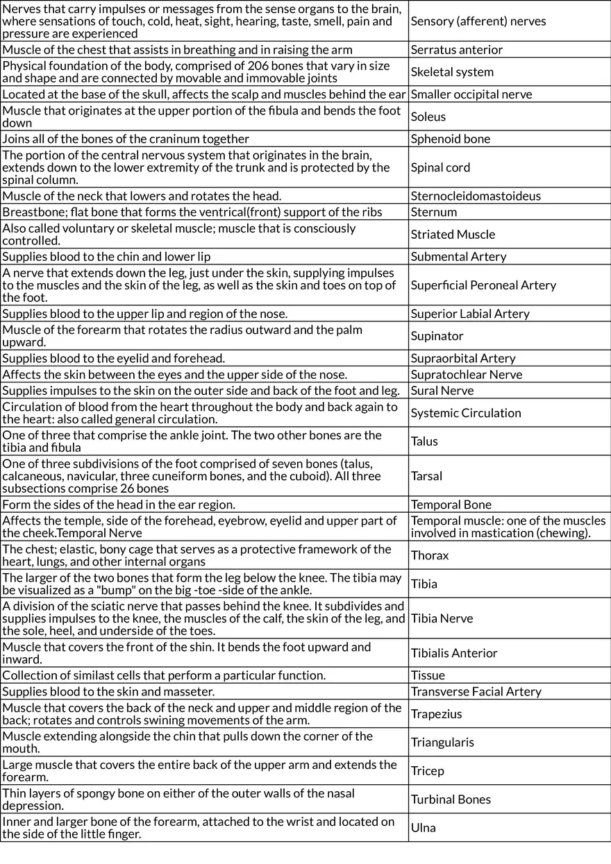 General Anatomy and Physiology: Muscles, Arteries, and Metabolism (Chapter 6) - Page 6