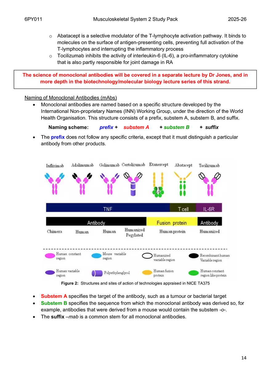 Musculoskeletal System 2 Study Pack - Page 6