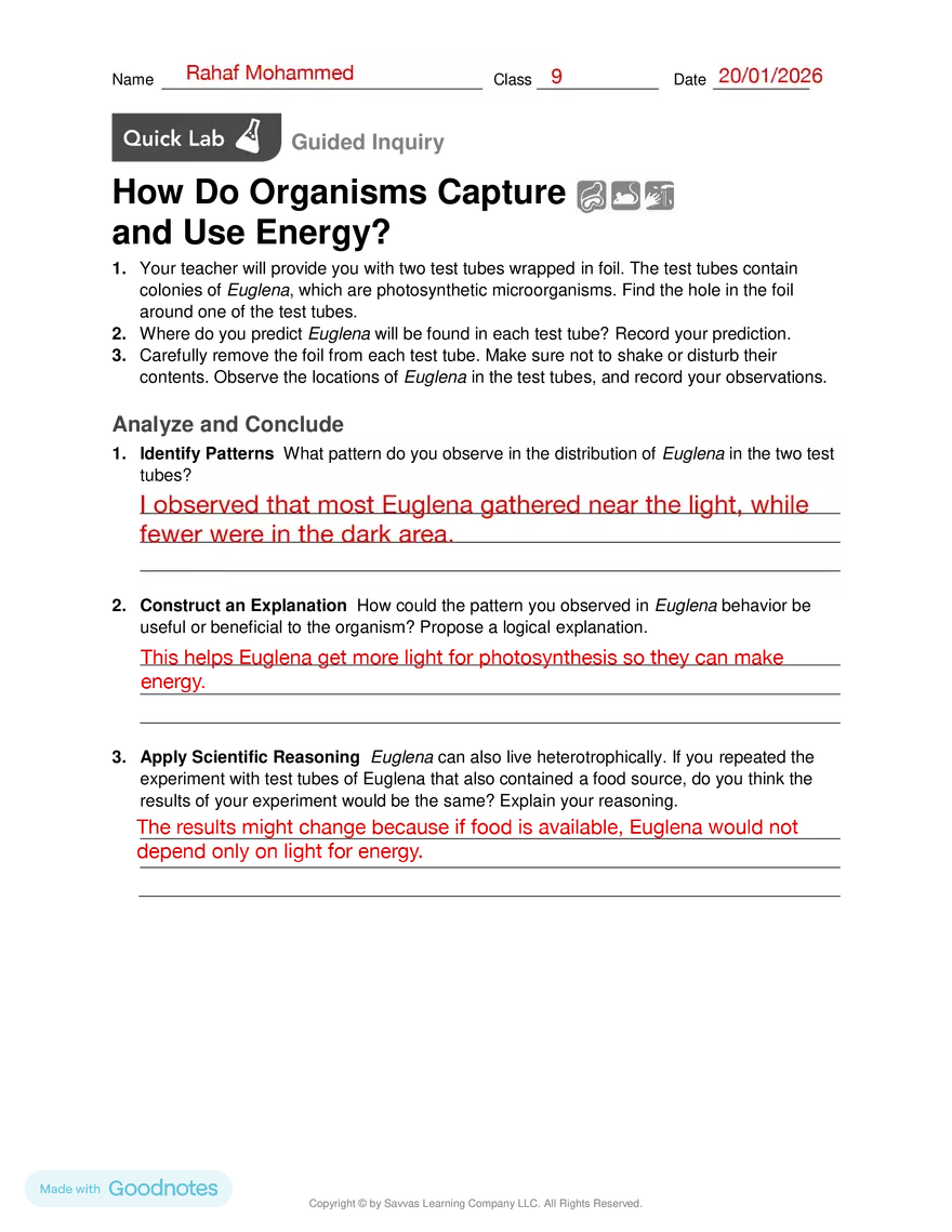 How Do Organisms Capture and Use Energy? - Page 1