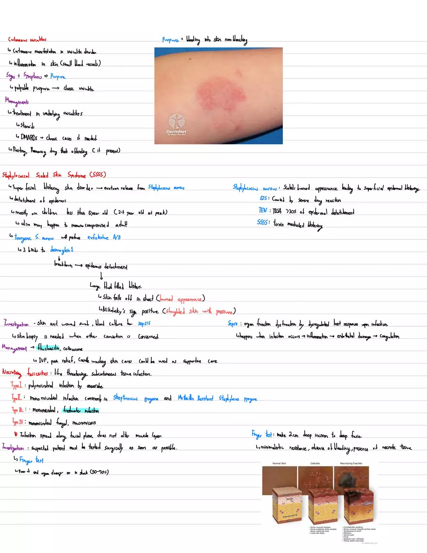 Dermatology Week #1 - Page 2
