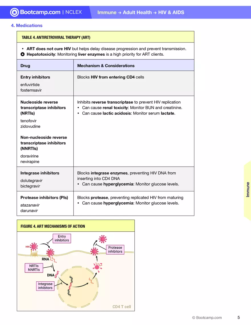 HIV & AIDS Cheat Sheet - Page 5