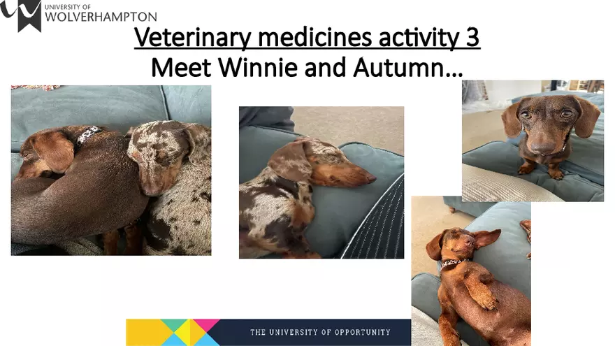 Poisons and Vet Meds Sept 2025-2026 - Page 21