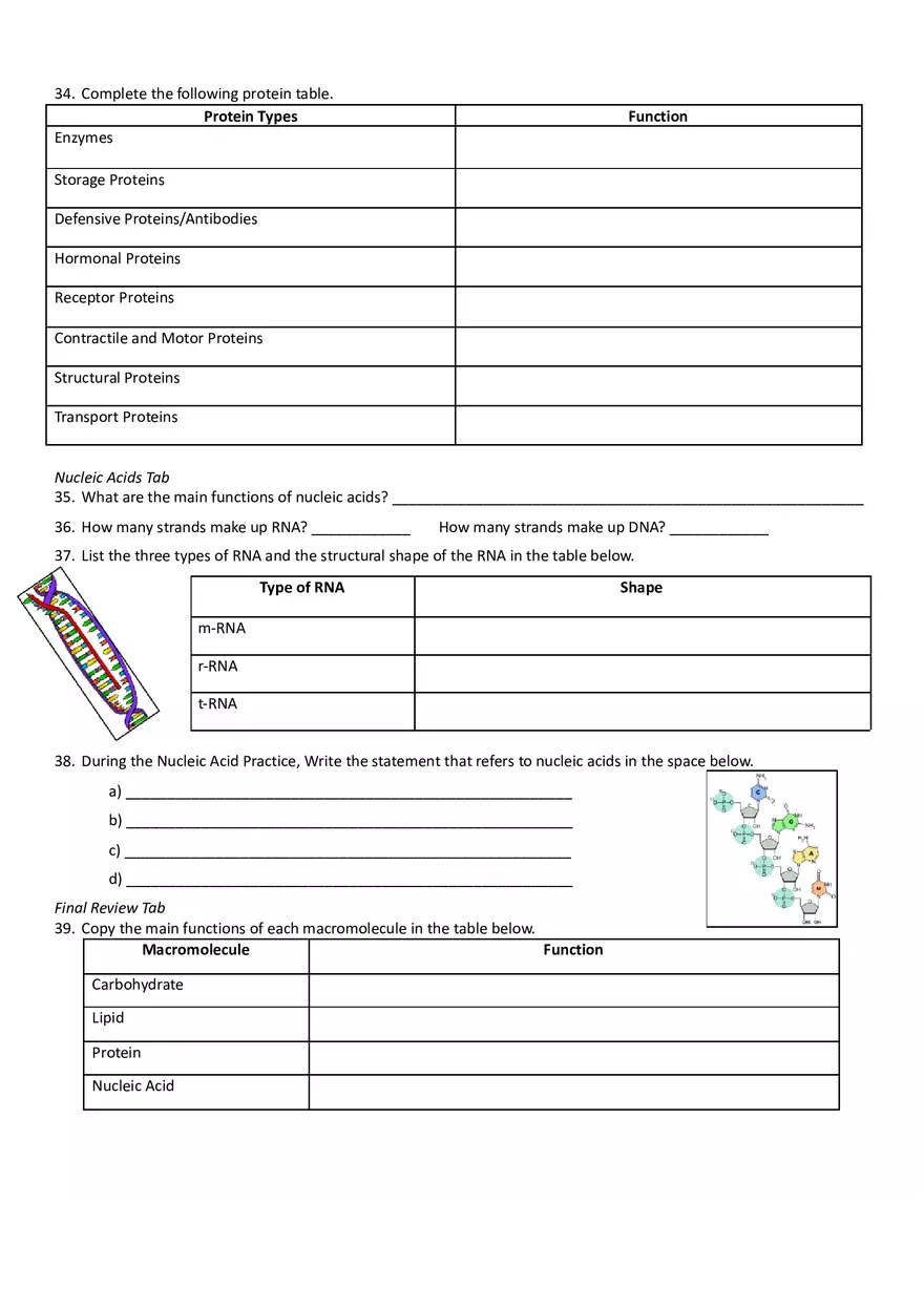 Macromolecules - Introduction to Biomolecules - Page 3