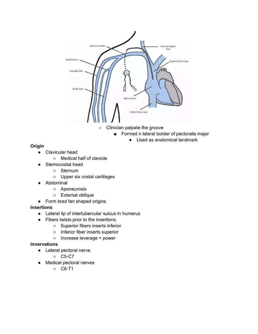 Week 7 Mid Prep Pectoralis Major - Page 2