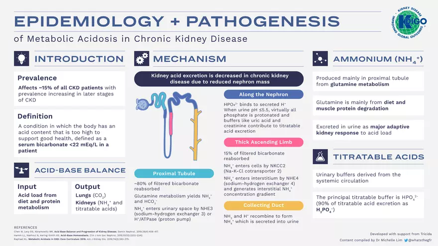 Metabolic Acidosis Infographic Set 2022 - Page 1