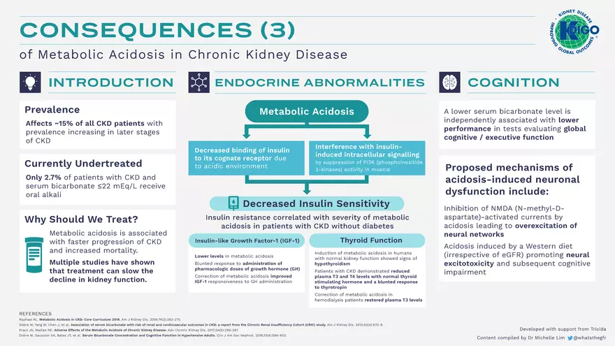Metabolic Acidosis Infographic Set 2022 - Page 4