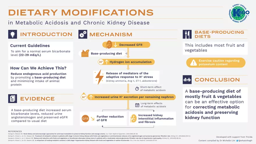 Metabolic Acidosis Infographic Set 2022 - Page 5