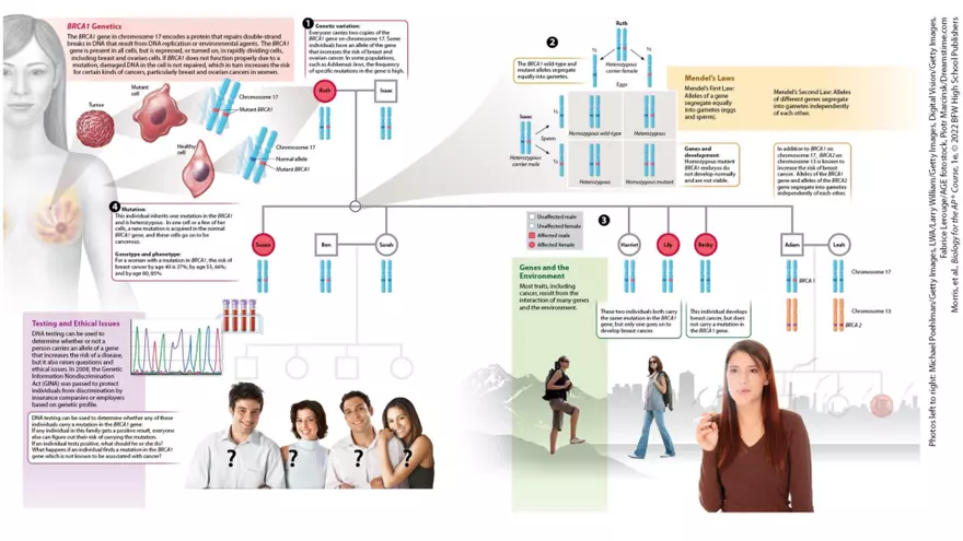 Module 29 Lecture Slides - Page 7