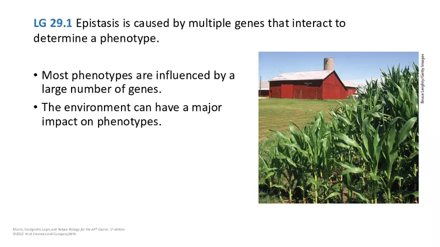 Module 29 Lecture Slides - Page 8