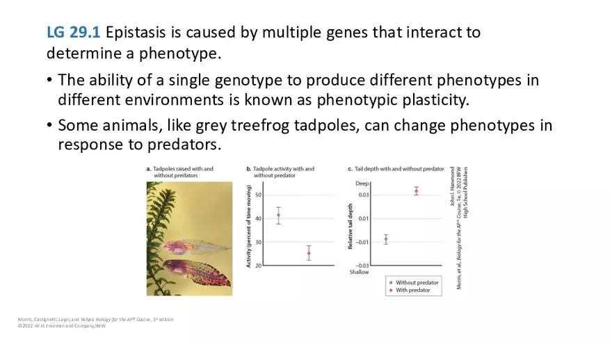 Module 29 Lecture Slides - Page 9