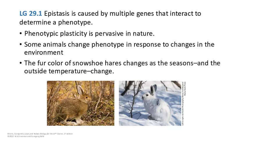 Module 29 Lecture Slides - Page 11