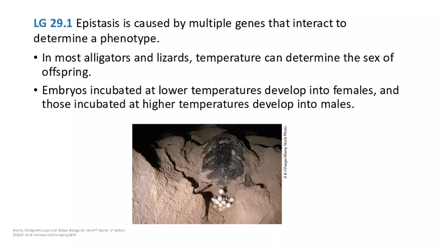 Module 29 Lecture Slides - Page 12