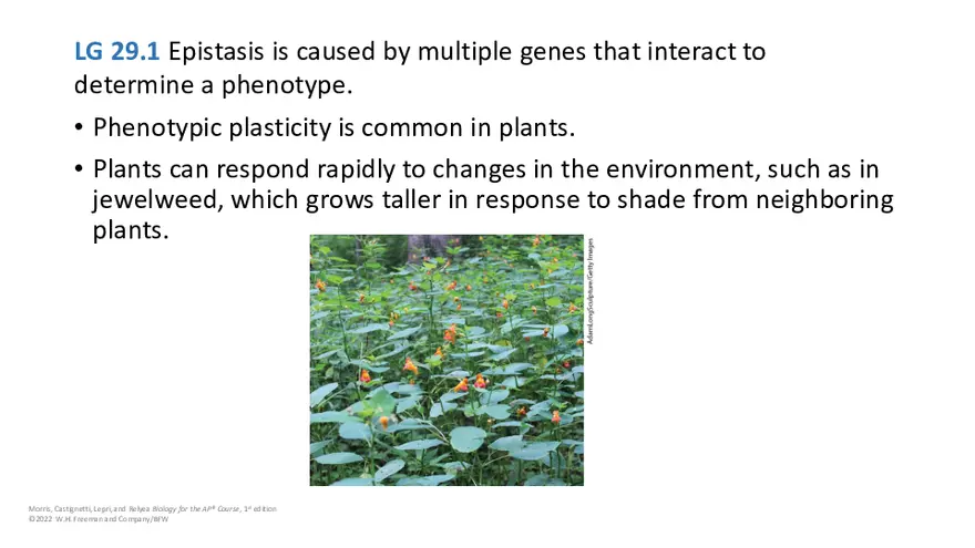 Module 29 Lecture Slides - Page 13