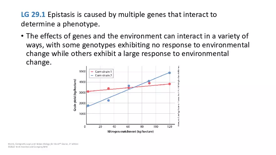 Module 29 Lecture Slides - Page 14