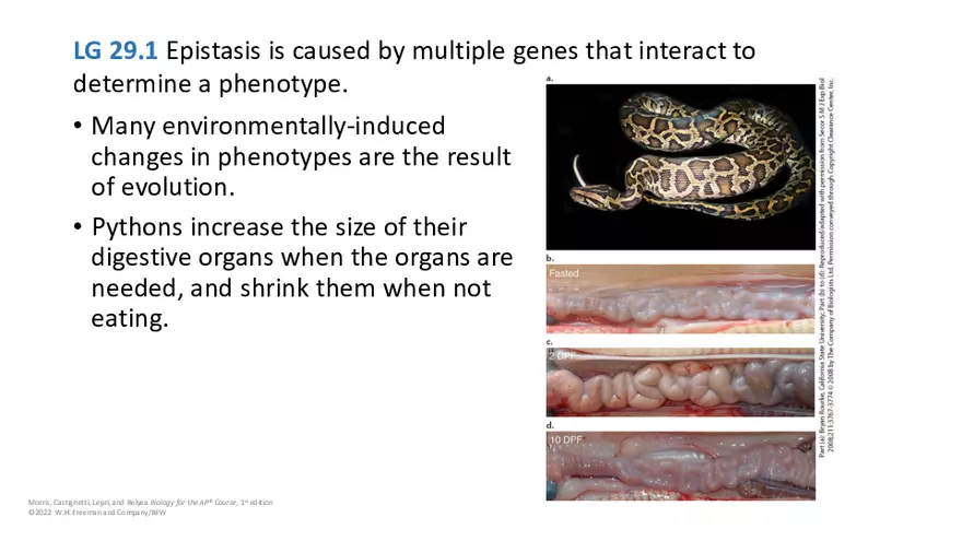 Module 29 Lecture Slides - Page 15
