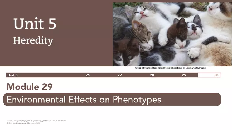 Module 29 Lecture Slides - Page 1