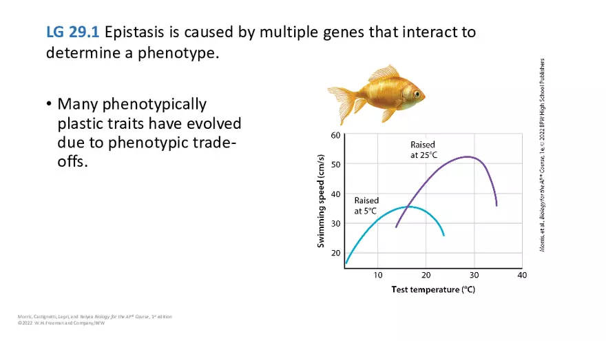 Module 29 Lecture Slides - Page 3