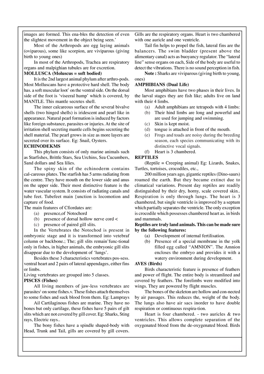 6. Animal Kingdom - Page 2