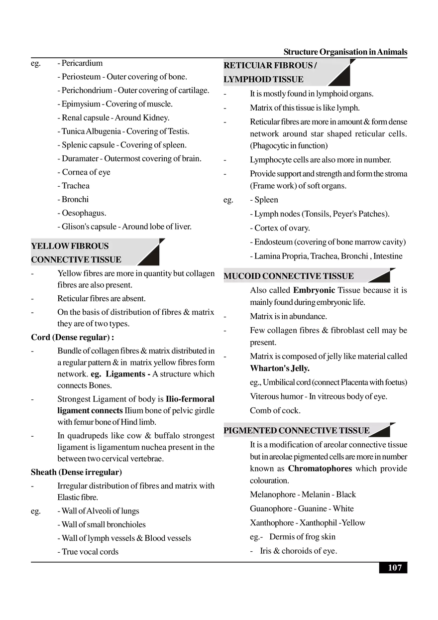 Structure Organisation in Animals - Page 7