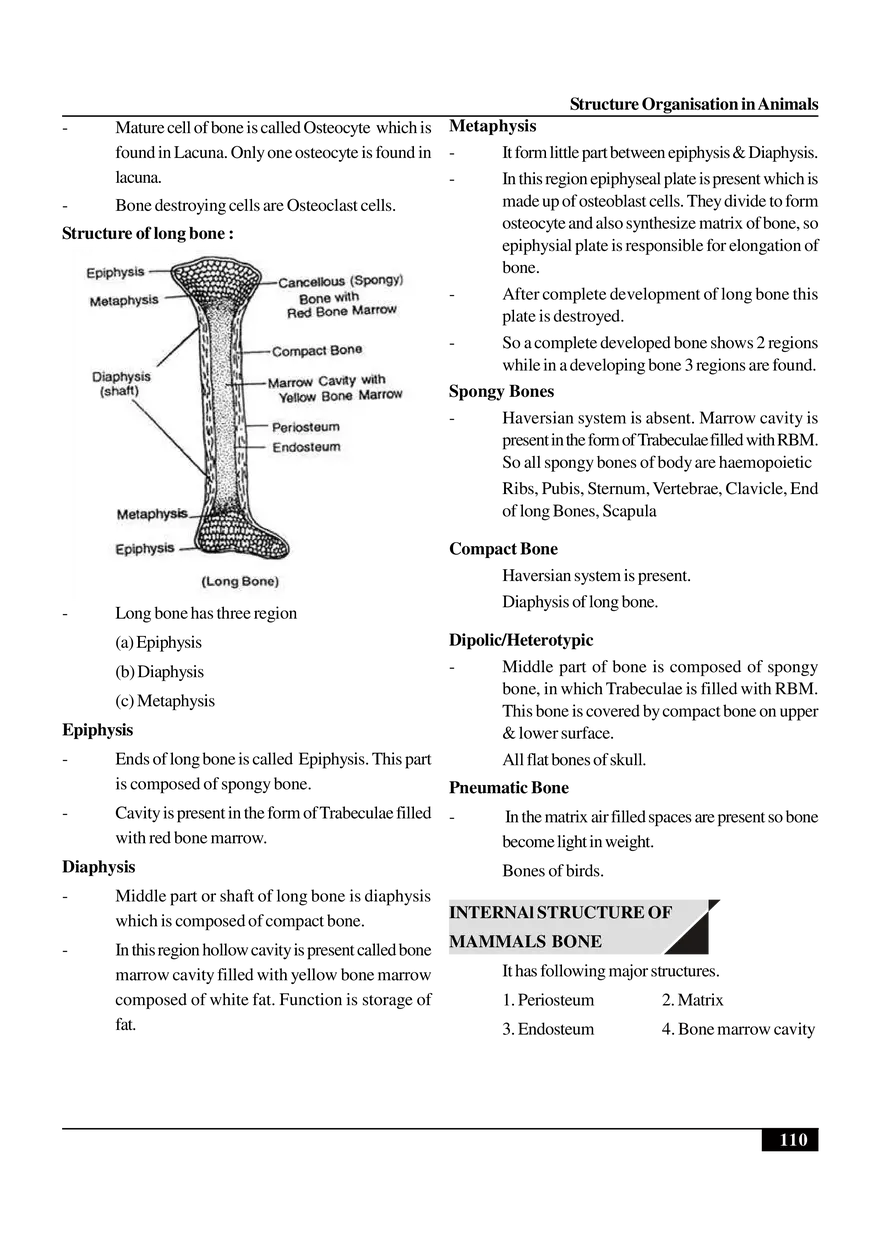 Structure Organisation in Animals - Page 10