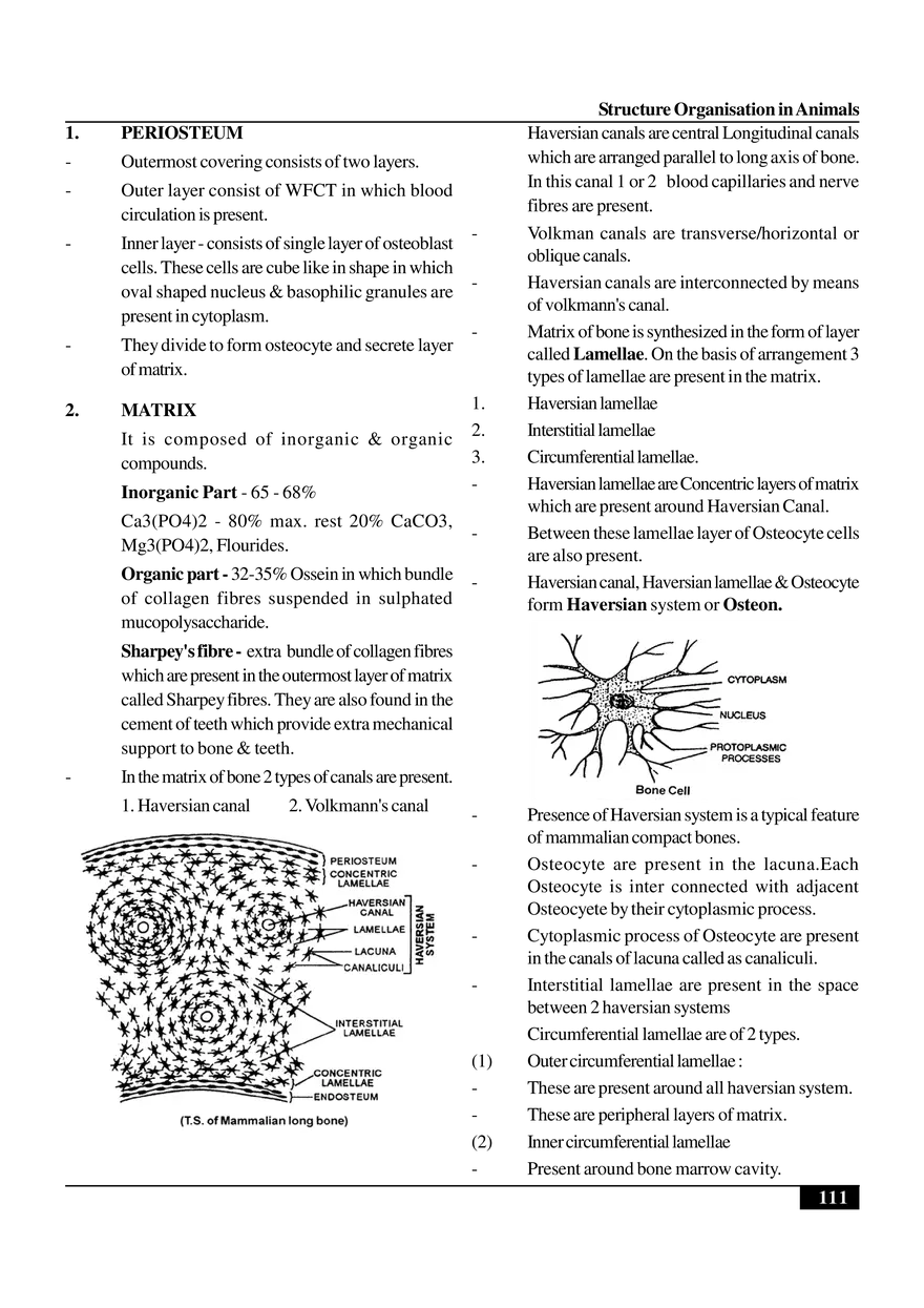 Structure Organisation in Animals - Page 11