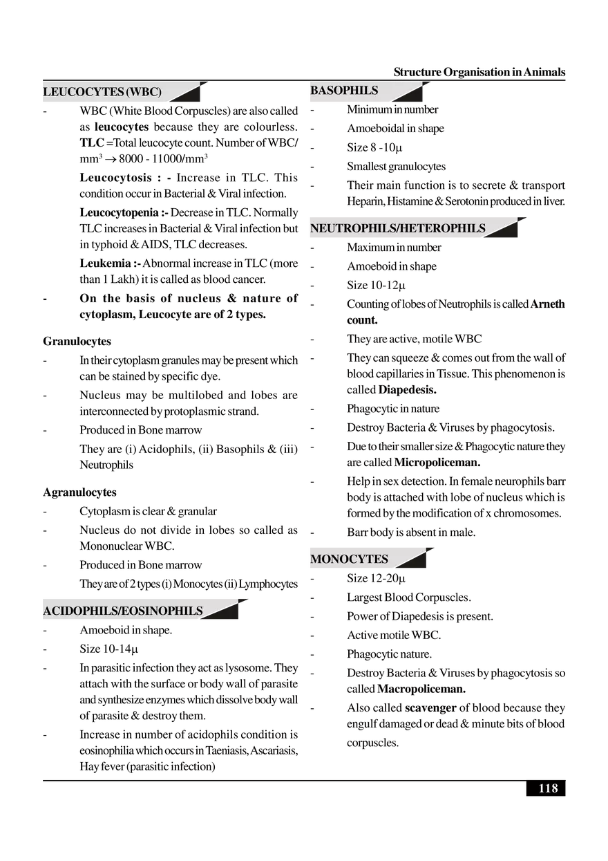 Structure Organisation in Animals - Page 19