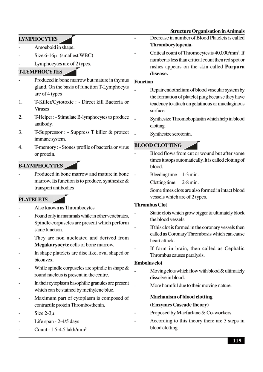 Structure Organisation in Animals - Page 20