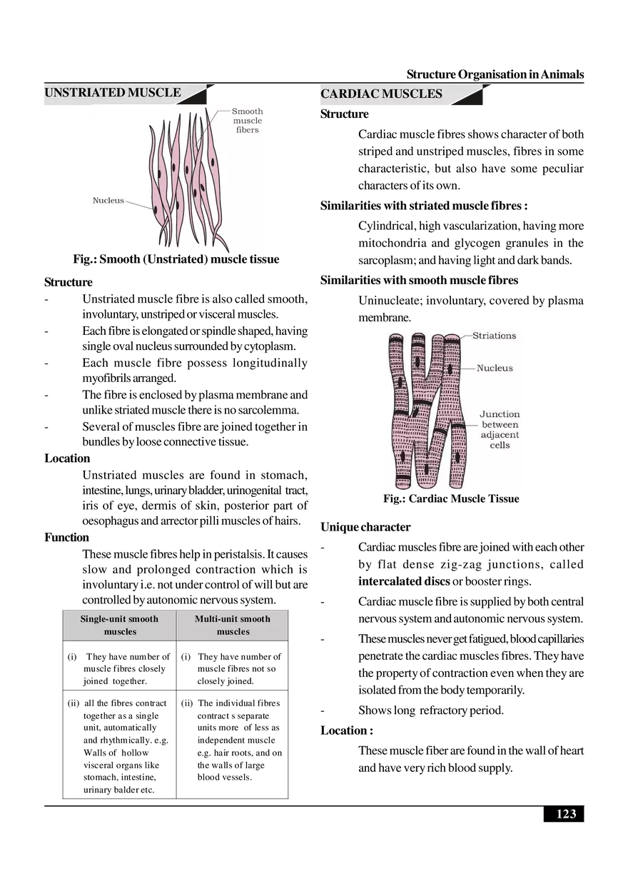Structure Organisation in Animals - Page 25
