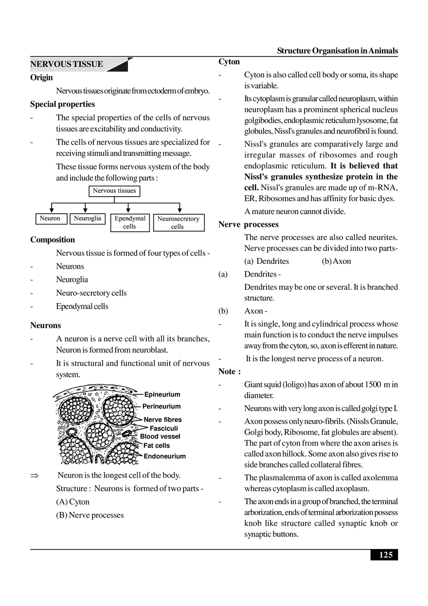 Structure Organisation in Animals - Page 27