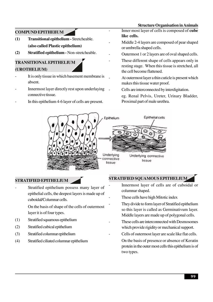 Structure Organisation in Animals - Page 33
