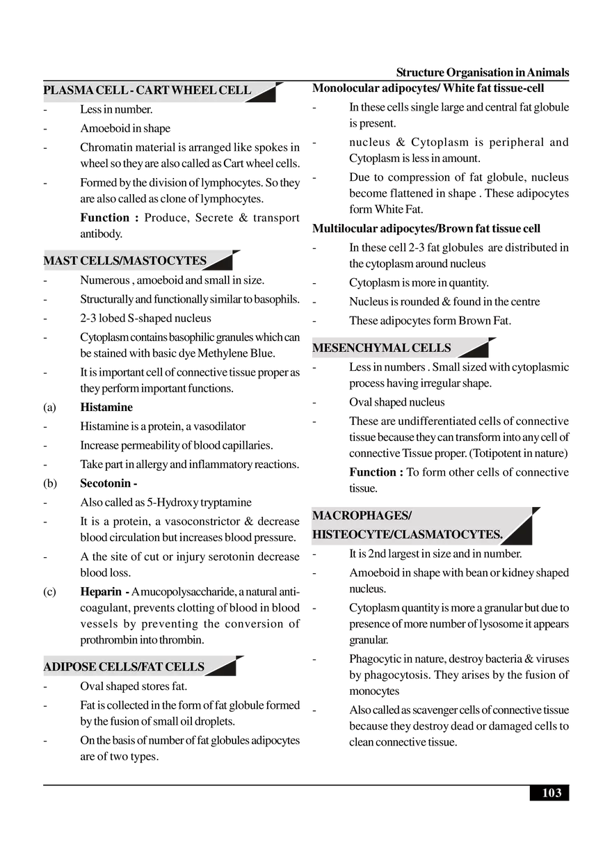 Structure Organisation in Animals - Page 3