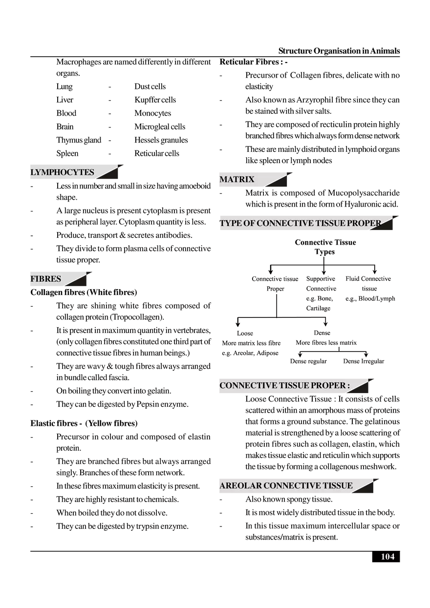 Structure Organisation in Animals - Page 4