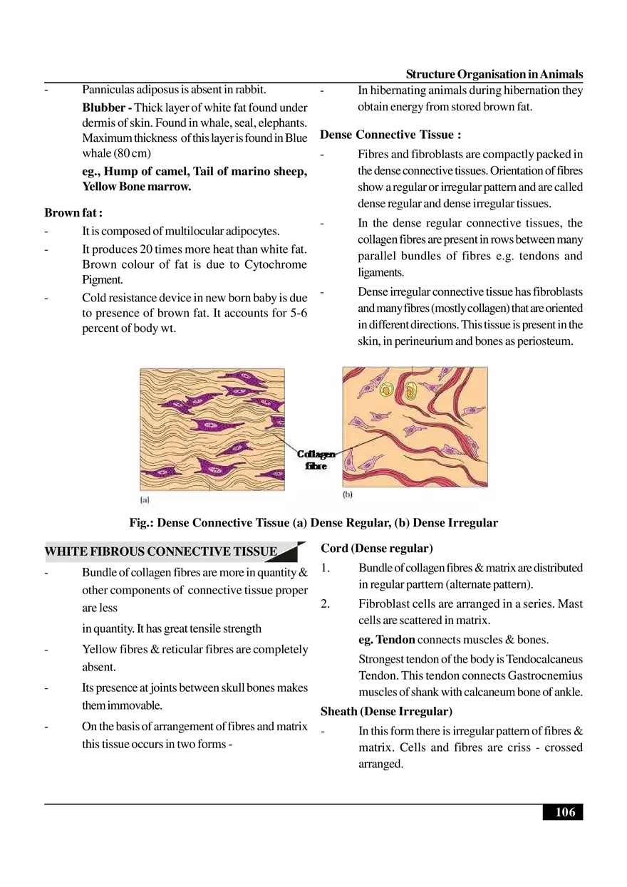 Structure Organisation in Animals - Page 6