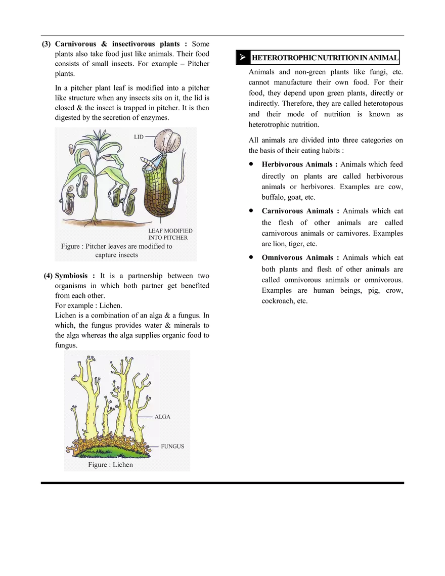 Nutrition in Plants - Page 2