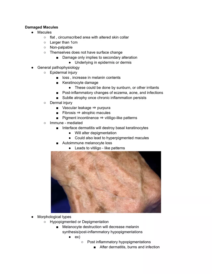 Damaged Macules - Page 1