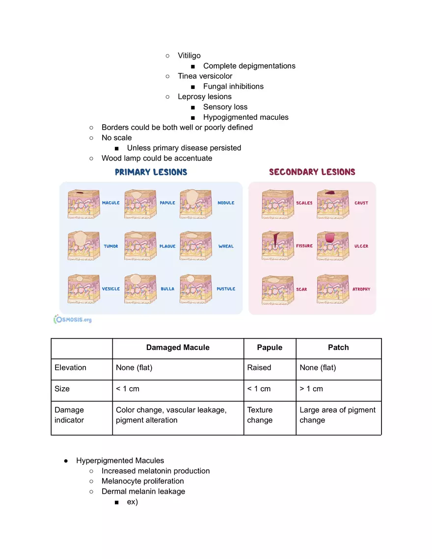 Damaged Macules - Page 2