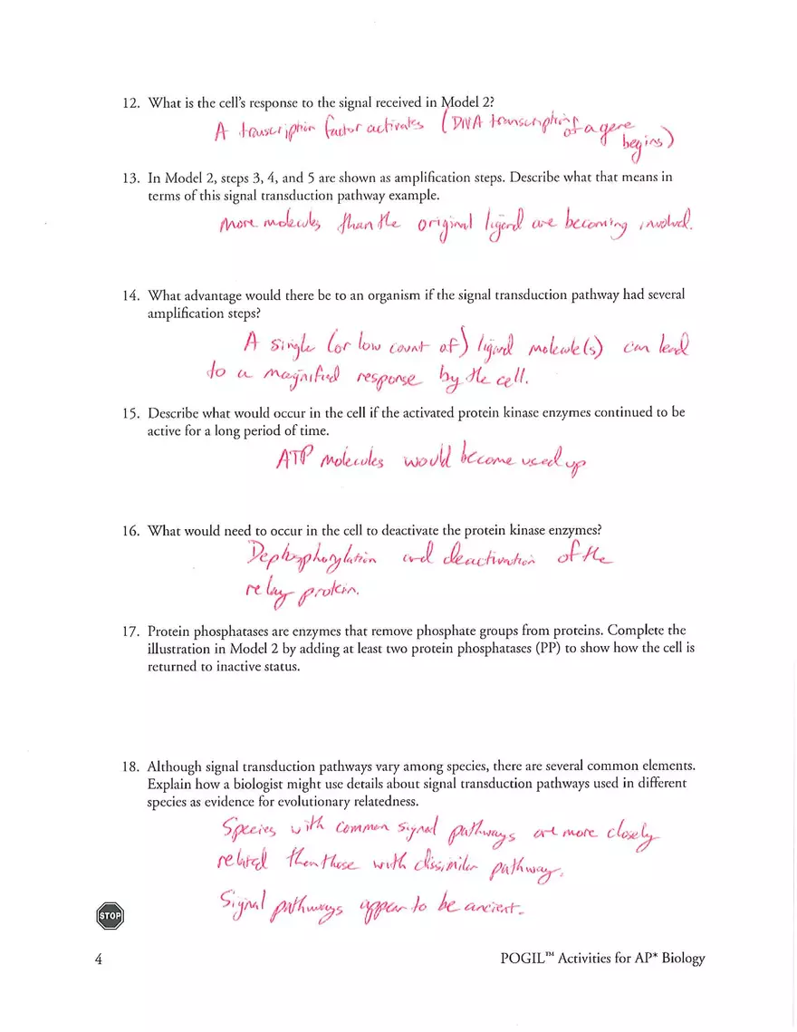 Signal Transduction Pathways Answers - Page 4