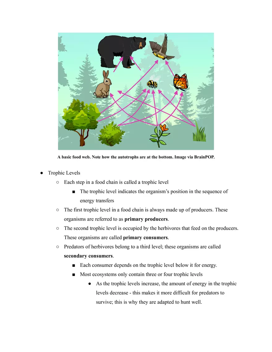 Ecology - Page 6