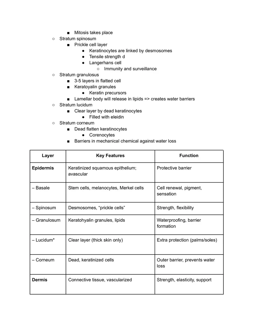 Skin Layers Reading - Page 2