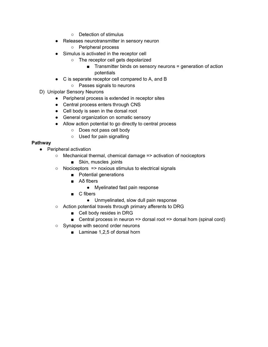 Pain Receptor 1 Lecture 1 - Page 2
