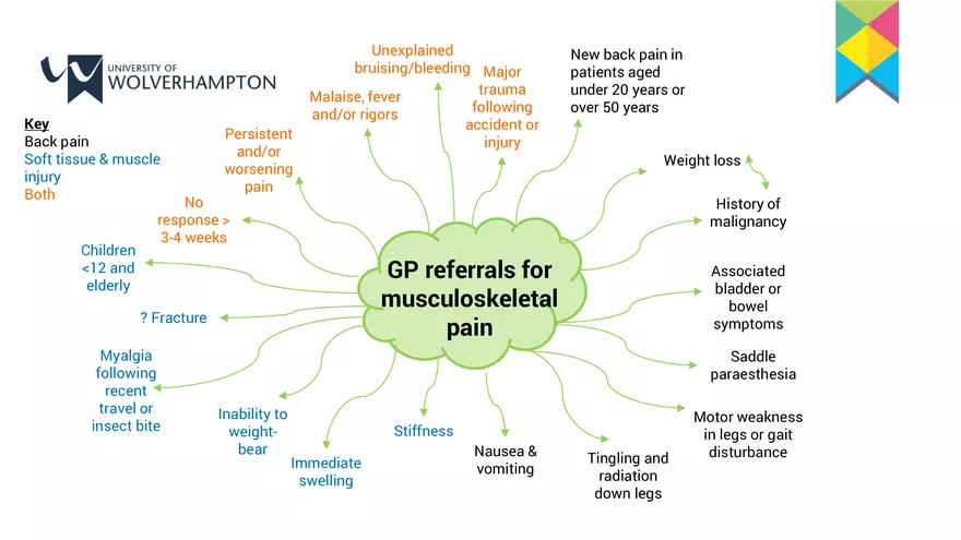 The Musculoskeletal System 2 – a Contextualisation - Page 12