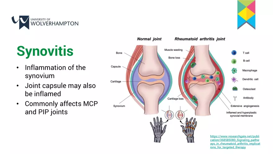 The Musculoskeletal System 2 – a Contextualisation - Page 18