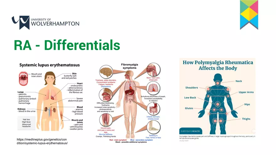 The Musculoskeletal System 2 – a Contextualisation - Page 19