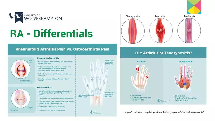 The Musculoskeletal System 2 – a Contextualisation - Page 20
