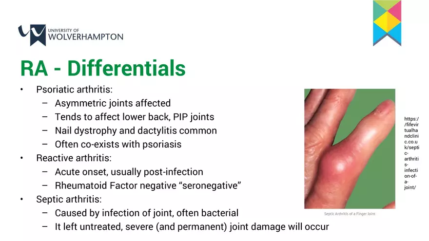 The Musculoskeletal System 2 – a Contextualisation - Page 21