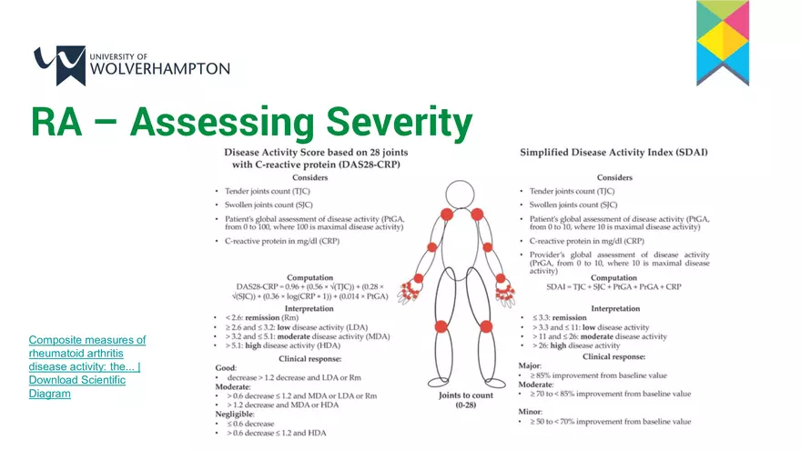The Musculoskeletal System 2 – a Contextualisation - Page 22