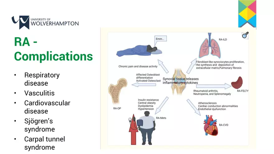 The Musculoskeletal System 2 – a Contextualisation - Page 4