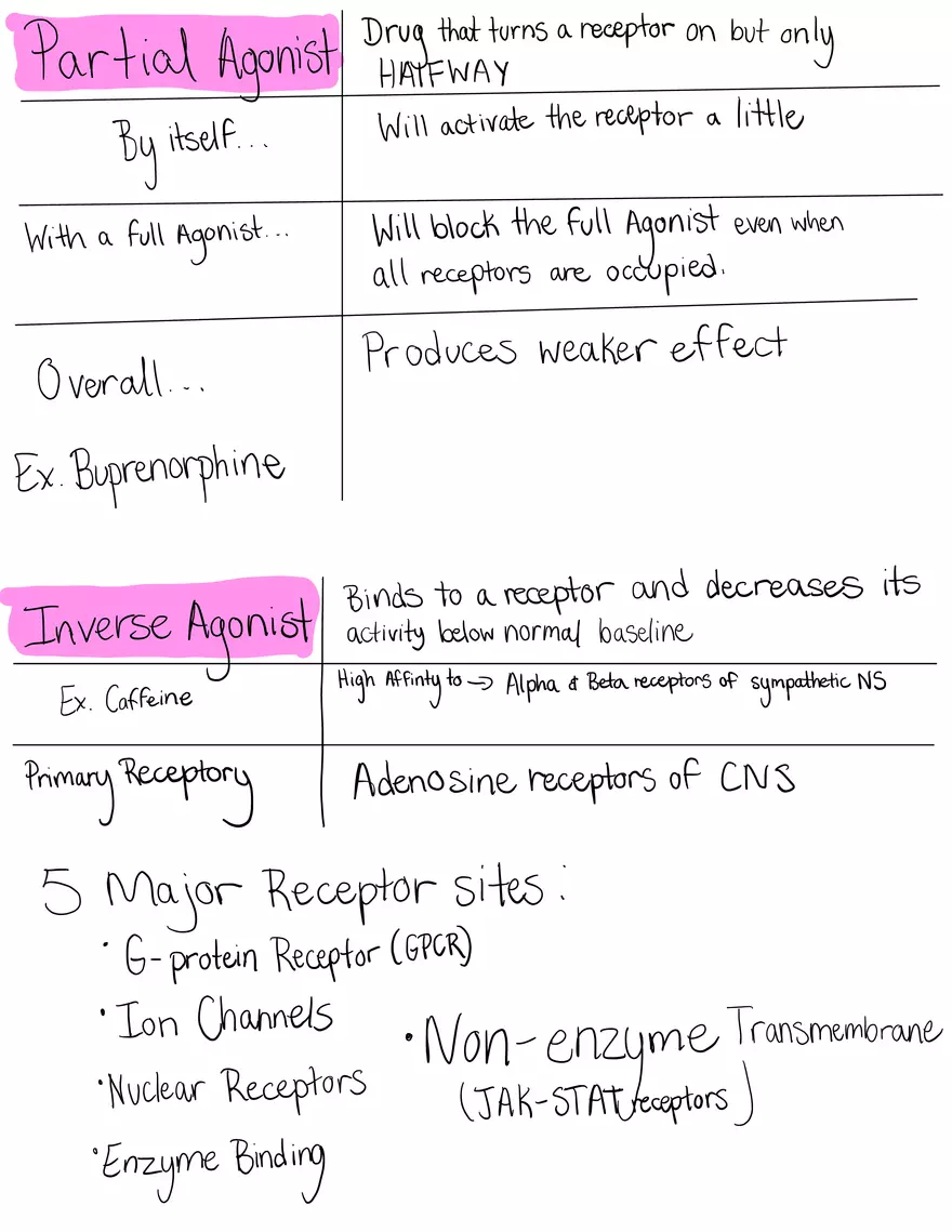 Intracellular Enzymes Note - Page 2