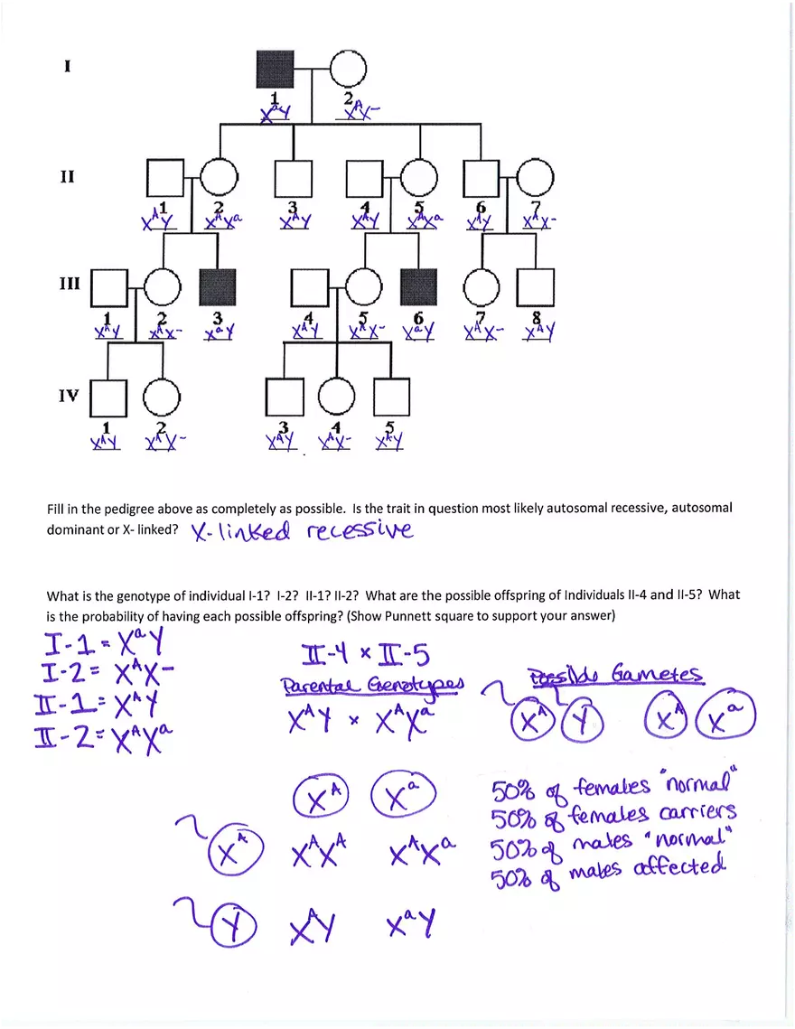 Pedigree Analysis Problems - Page 2