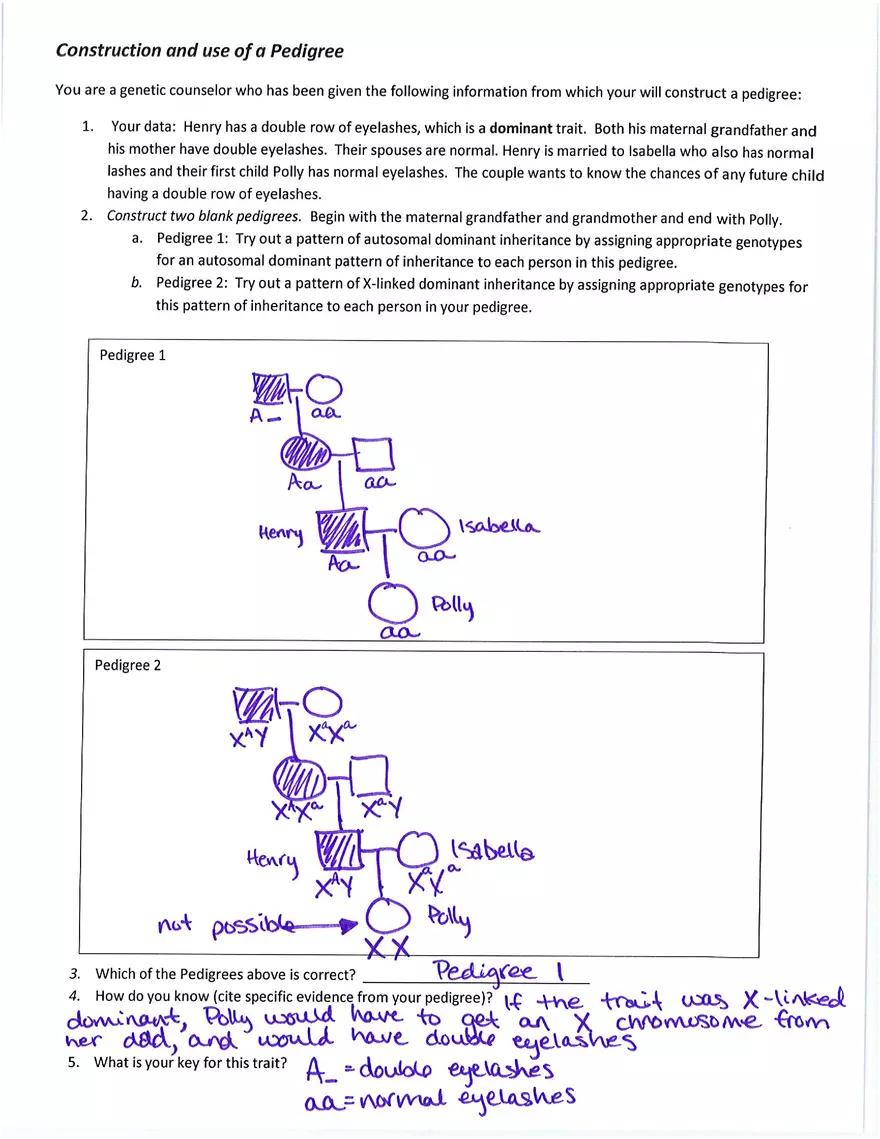 Pedigree Analysis Problems - Page 4